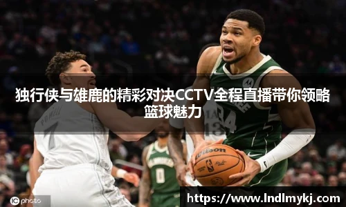 独行侠与雄鹿的精彩对决CCTV全程直播带你领略篮球魅力